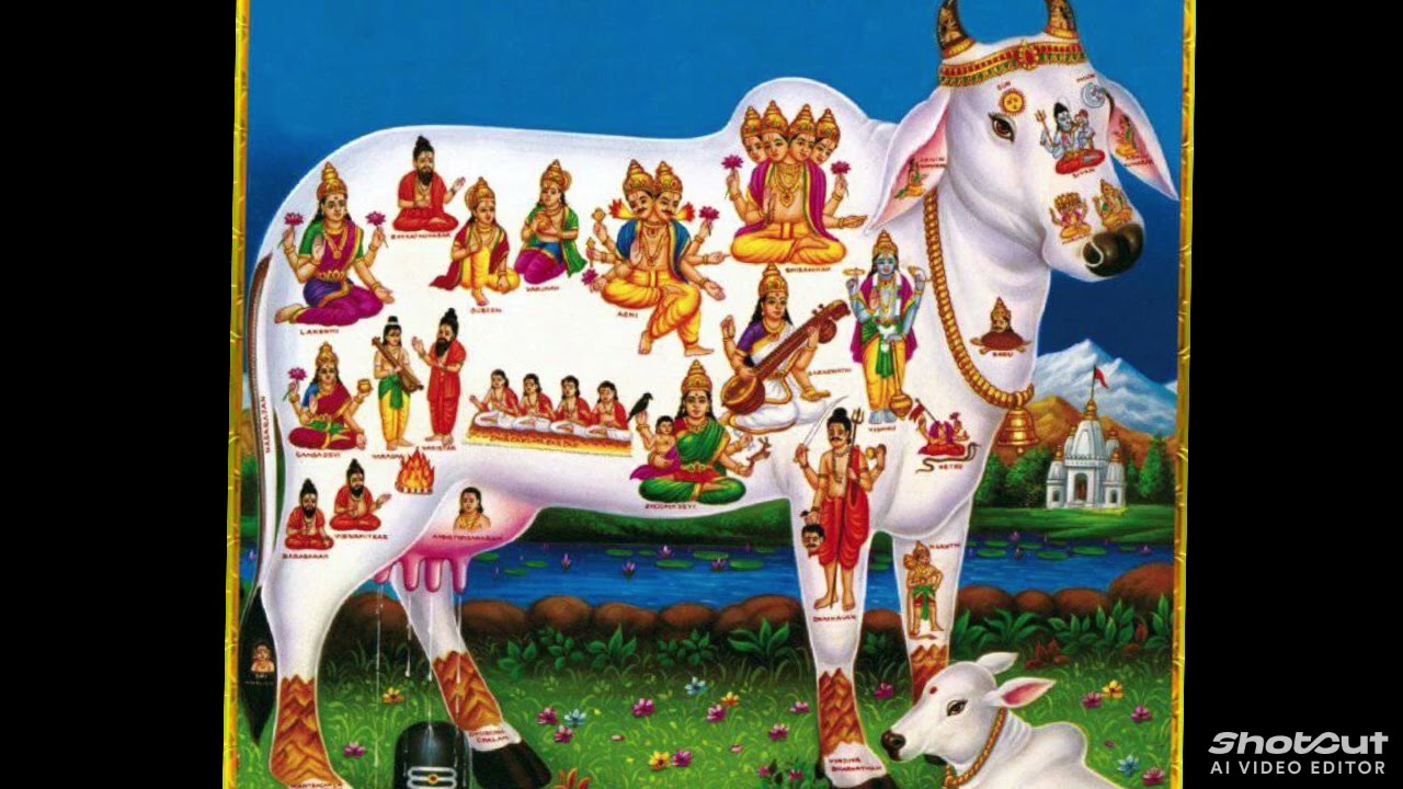 कामधेनू माता कौन है आइए जानते है