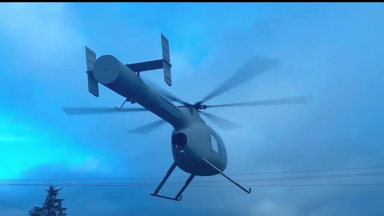 MD 600N RC Dialing down the EDF