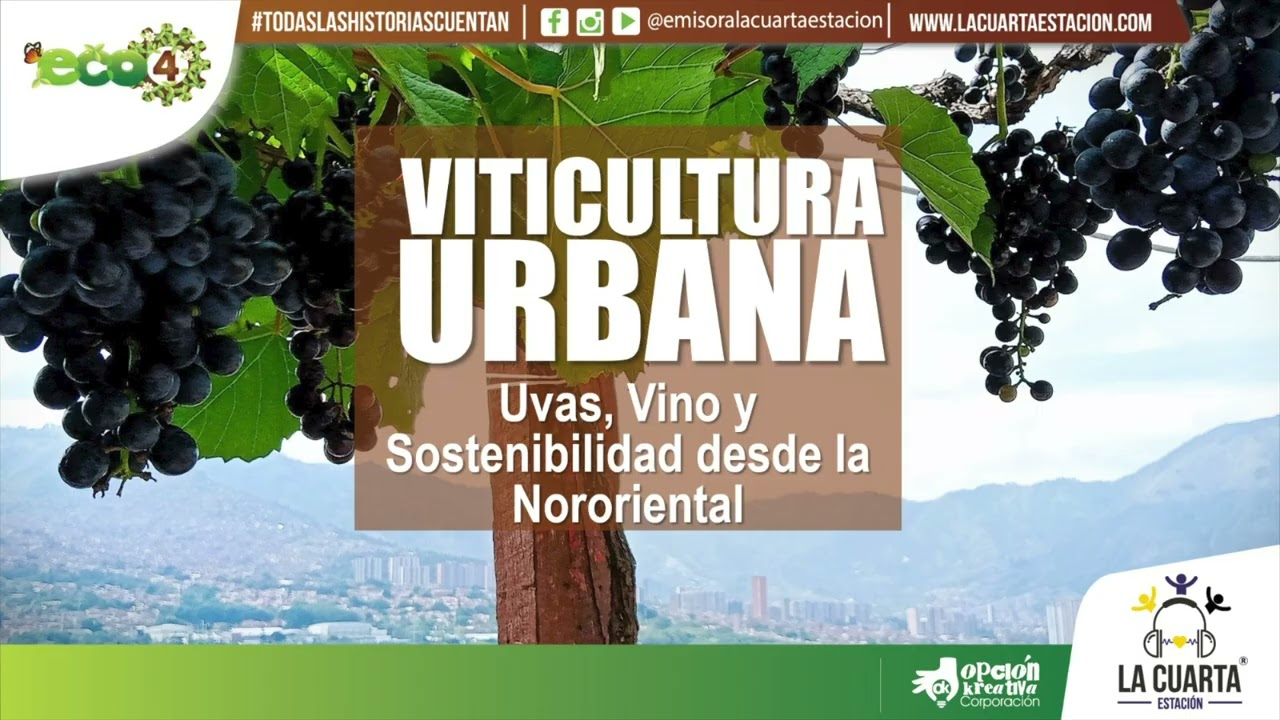 ECO 4 CAP # 56 - Viticultura Urbana: Uvas, Vino y Sostenibilidad desde la Nororiental