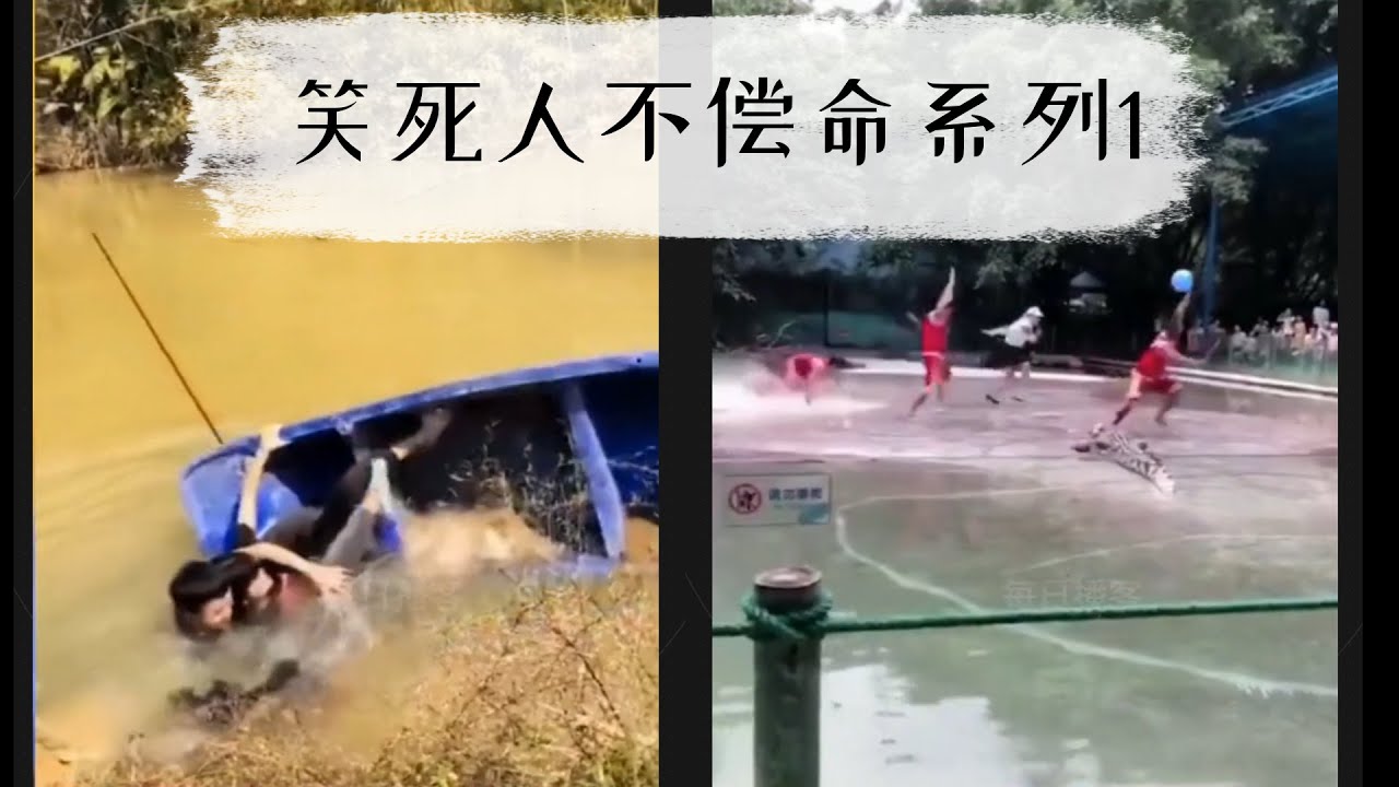 笑死人不偿命集锦，猪队友系列~