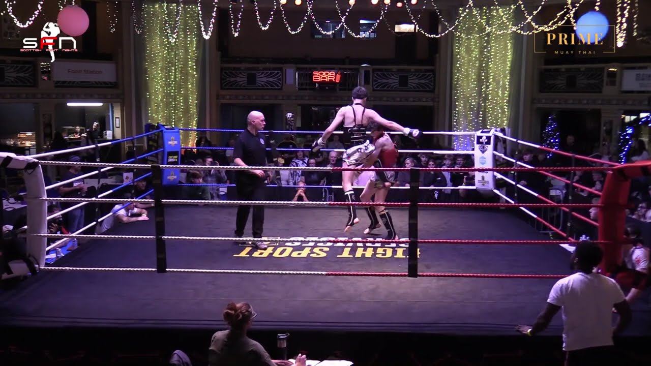 HARLEY MEWSE V KEVIN DOCHERTY