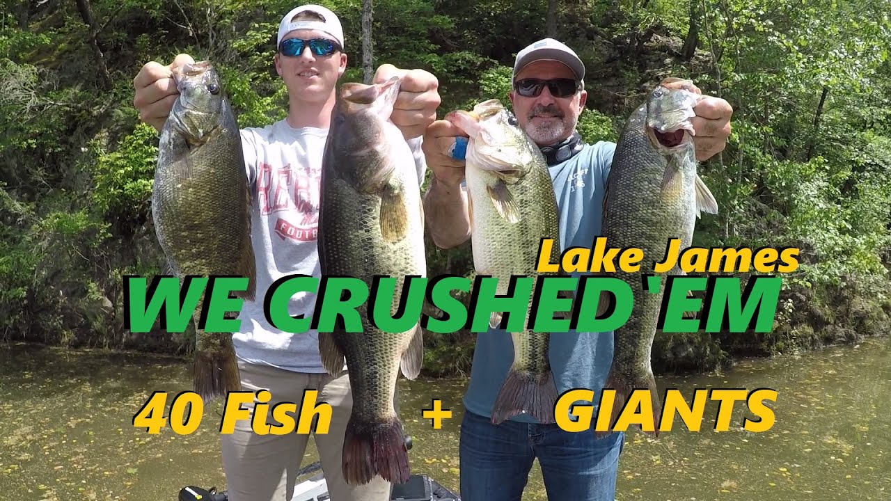 Garmin Livescope- BIG BASS on Lake James