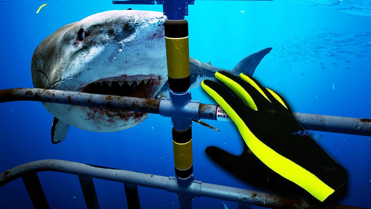 Dive Into The WILDEST VR Ocean Adventure Yet!