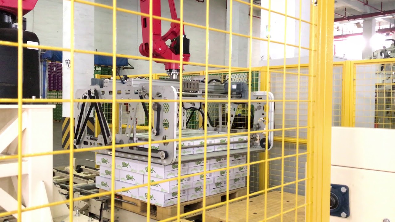 SIASUN Patterning and layer palletizing system