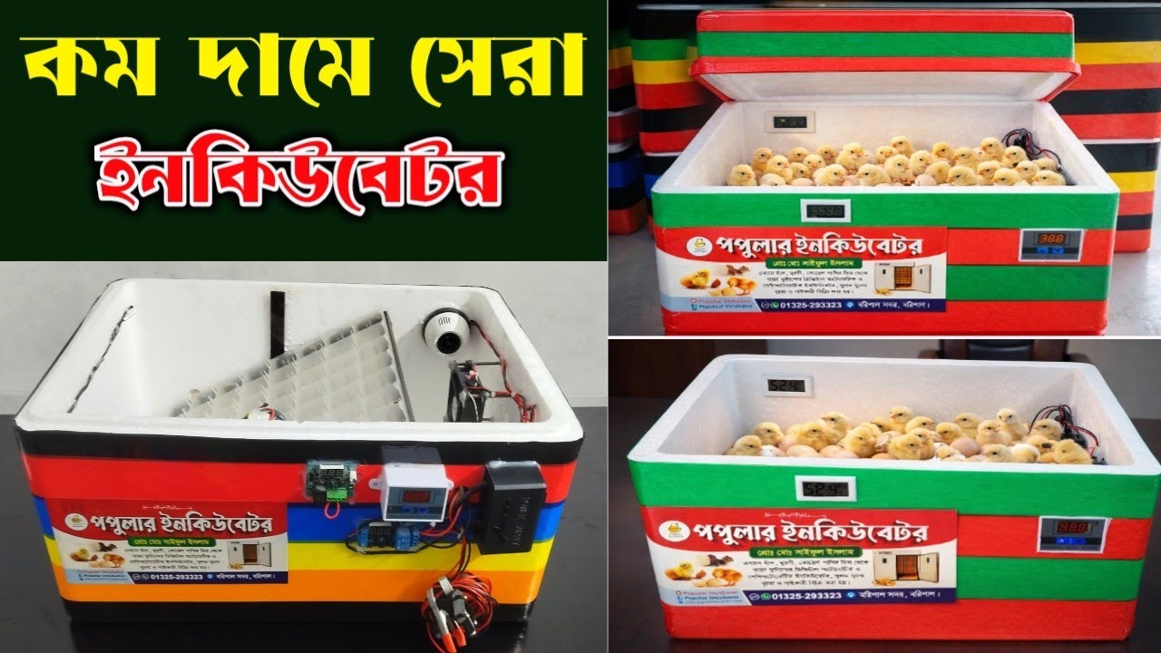 ডিম ফোটানোর ইনকিউবেটর মেশিন। কম দামের সেরা মেশিন incubator machine for hatching eggs at a low price 
