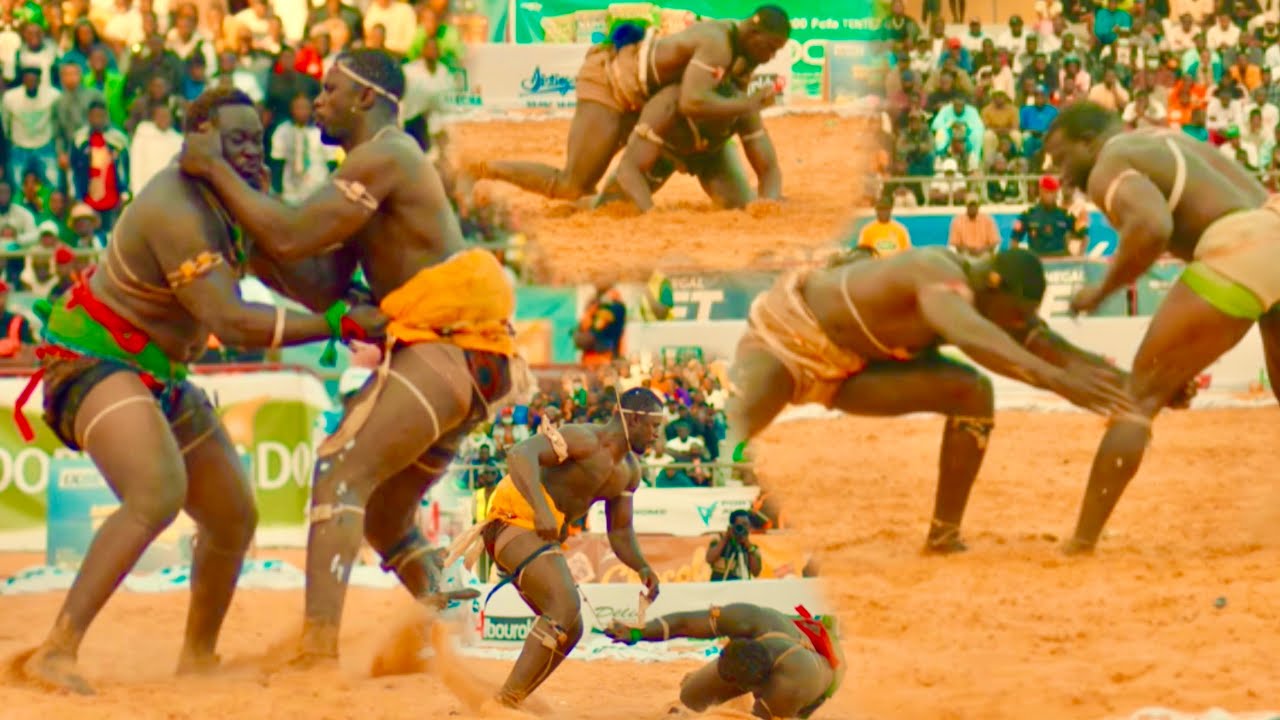 Revivez les temps fort des combats thiatou yoff vs fils de balla,Ama nékh vs talfa journée alboura