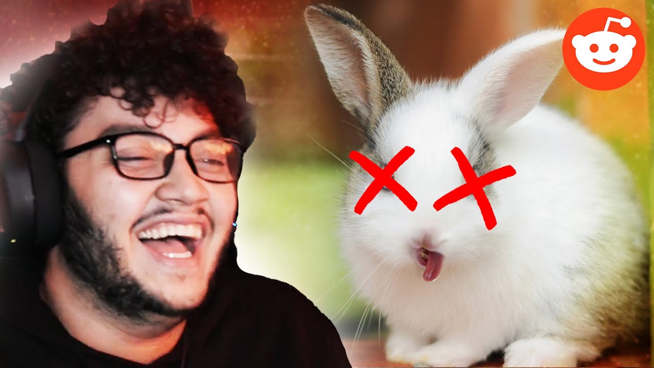 اذا ما ضحكت بقتل ارنب 🐰 | ميمز ابو الرب