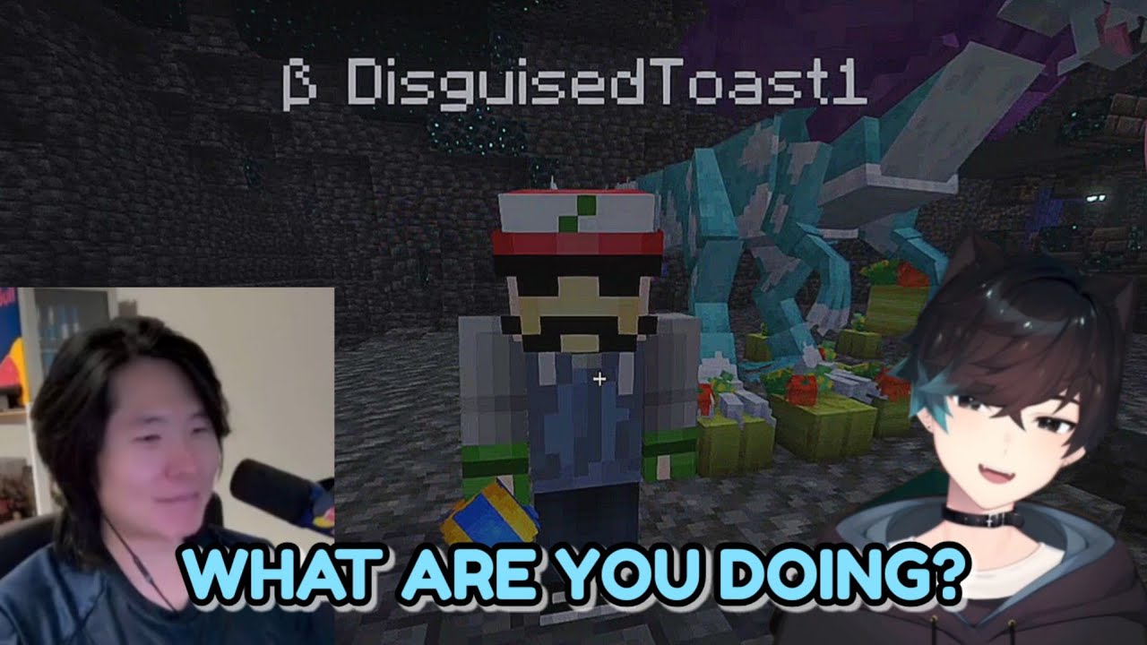 Toast and Sykkuno Proves They're Sharing One Brain Cell
