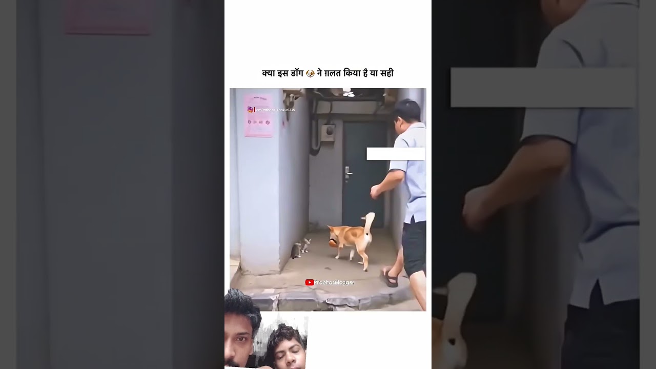 #loksabha #trending #youtubeshorts #trending