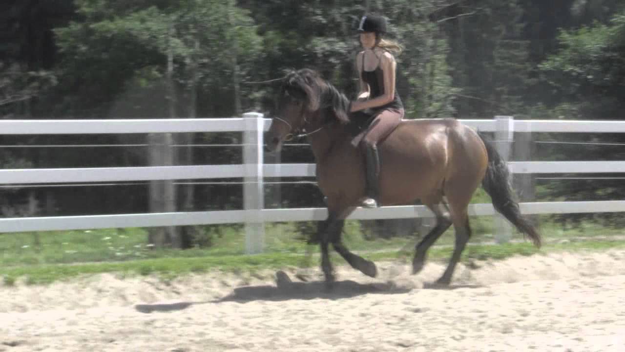 Reiterhof Hirschberg Sommer 2013 ♥