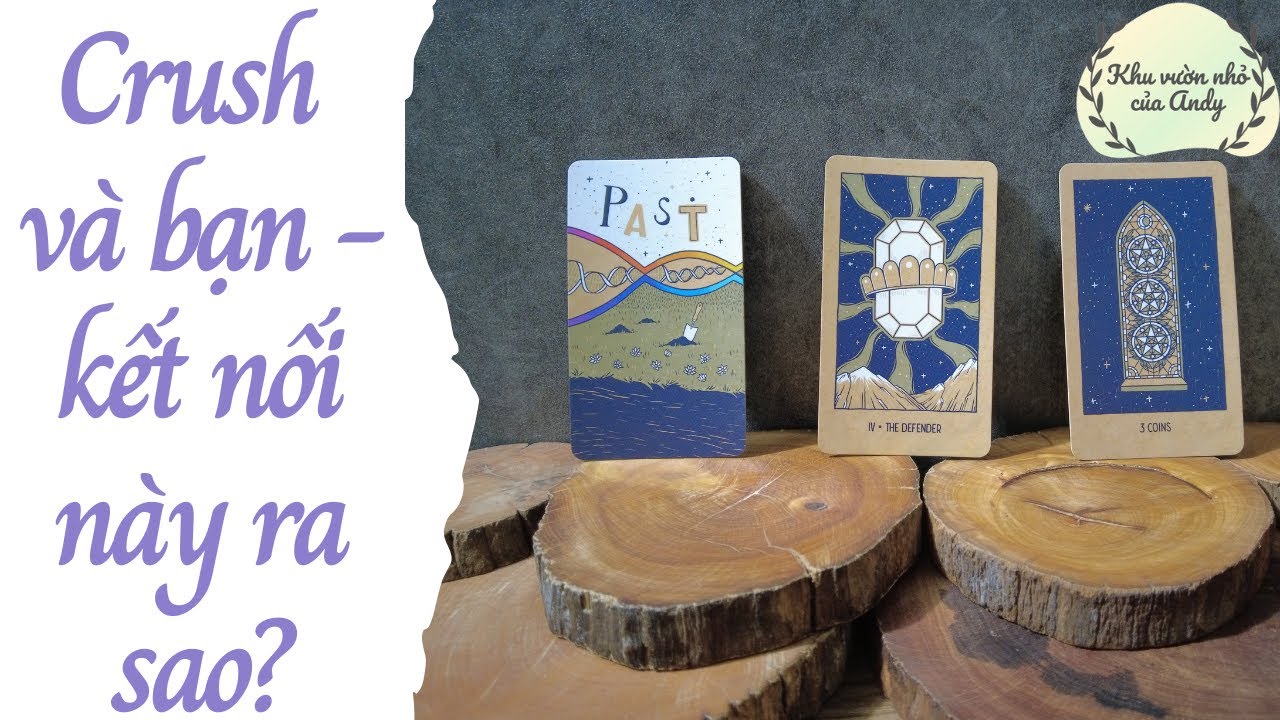 Crush - Bạn v&agrave; kết nối n&agrave;y ra sao? |Trải b&agrave;i tarot| Khu vườn Andy