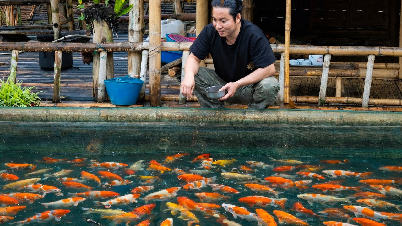 Caring for farmed fish - Fishing and making smoked fish, foraging for wild food on rainy days