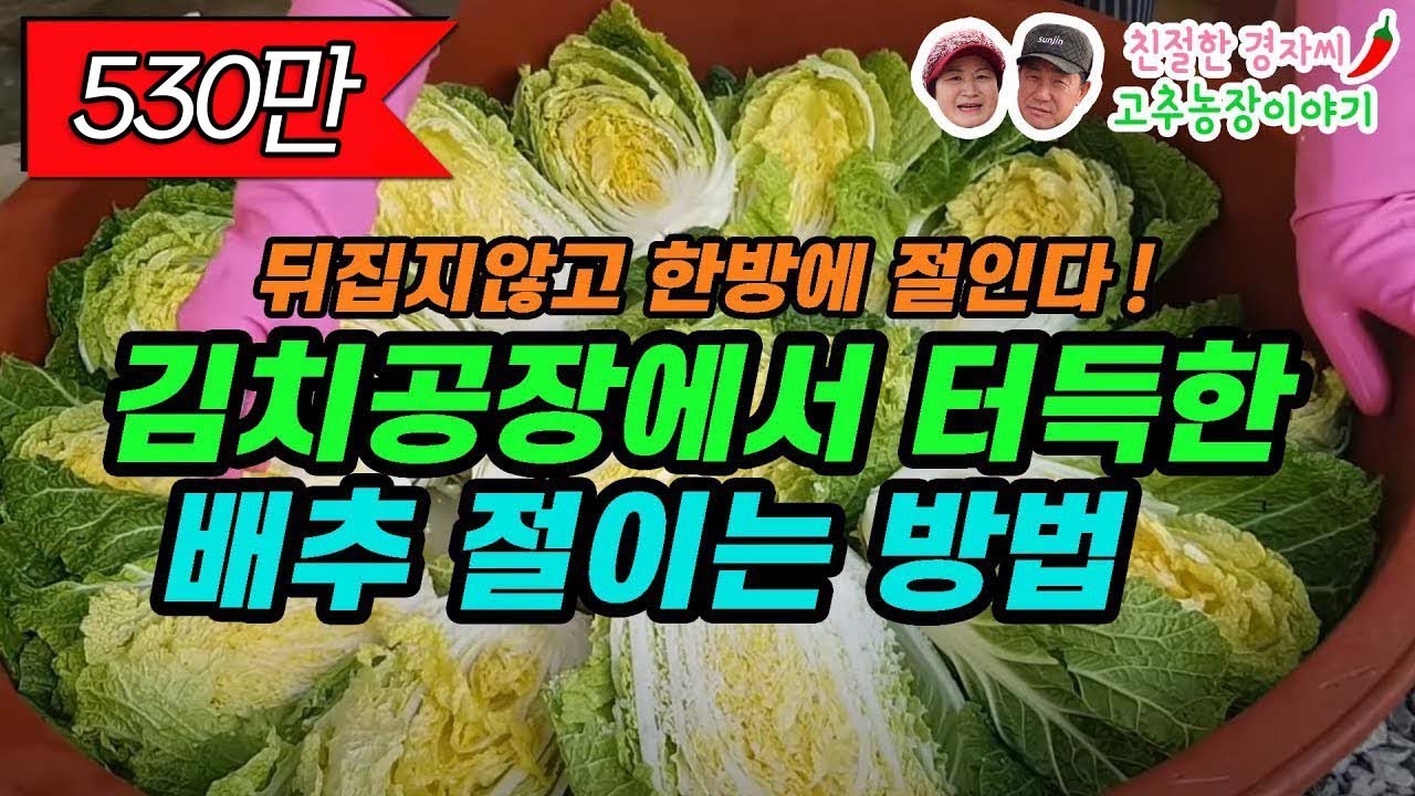 김치공장에서 터득한 뒤집지 않고 한방에 김장 배추 절이는 방법!! (강원도 영월이래요)