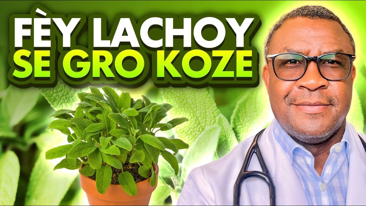 Lachoy ap ede w prevni 5 gro maladi.