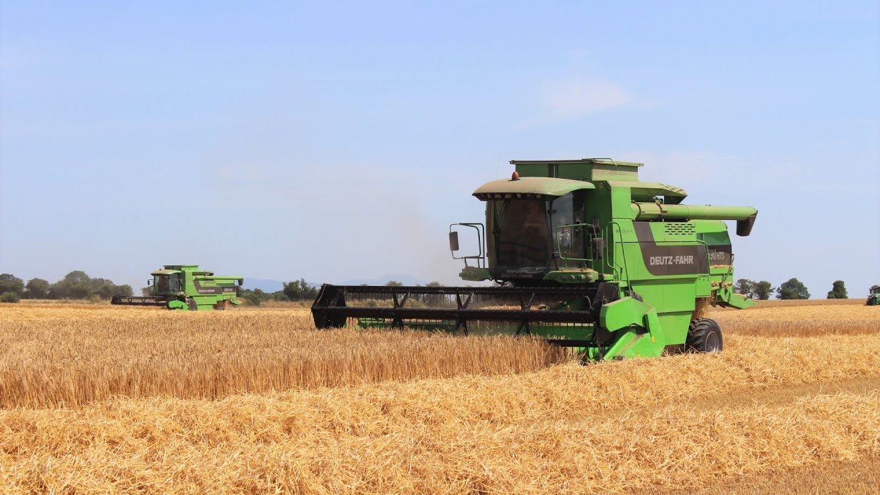 Harvest 2021 ~ New Holland CX8070 & 2 Deutz-Fahr 5690's