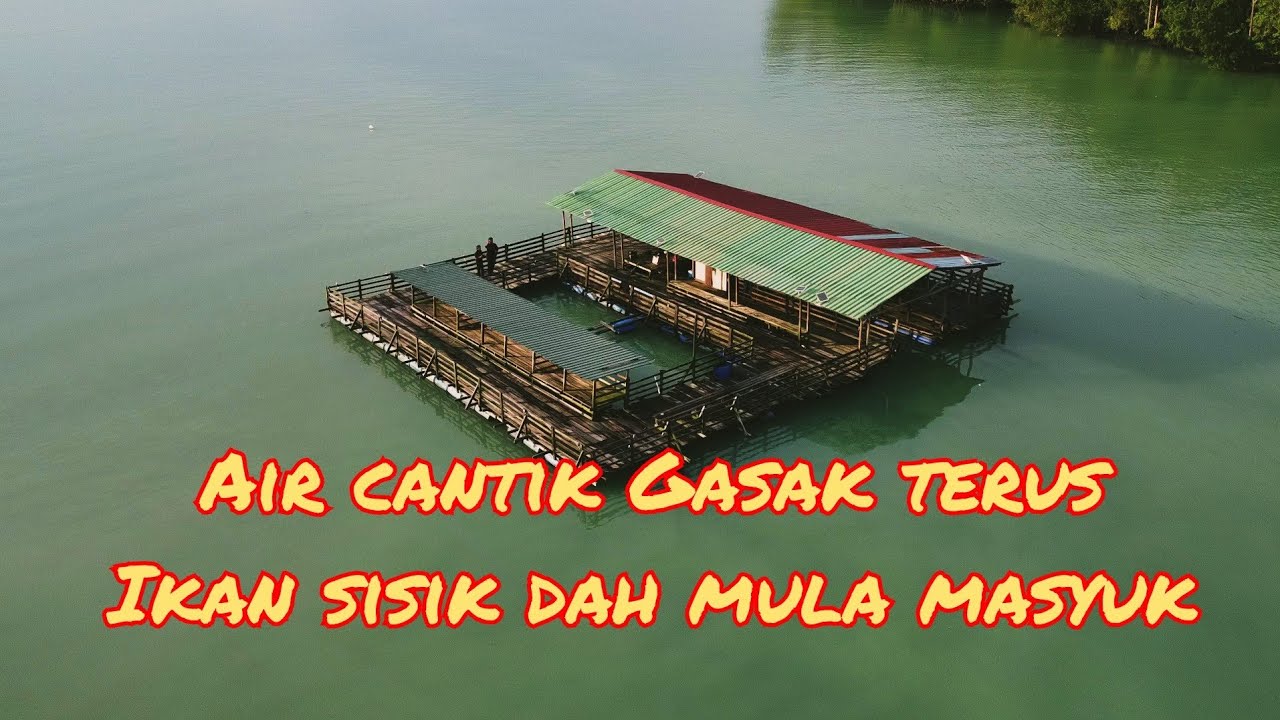 MUSIM DIA DAH MASUK GASAK TERUS|MANCING DI RAKIT SUNGAI LAYANG RAKIT YOYO B