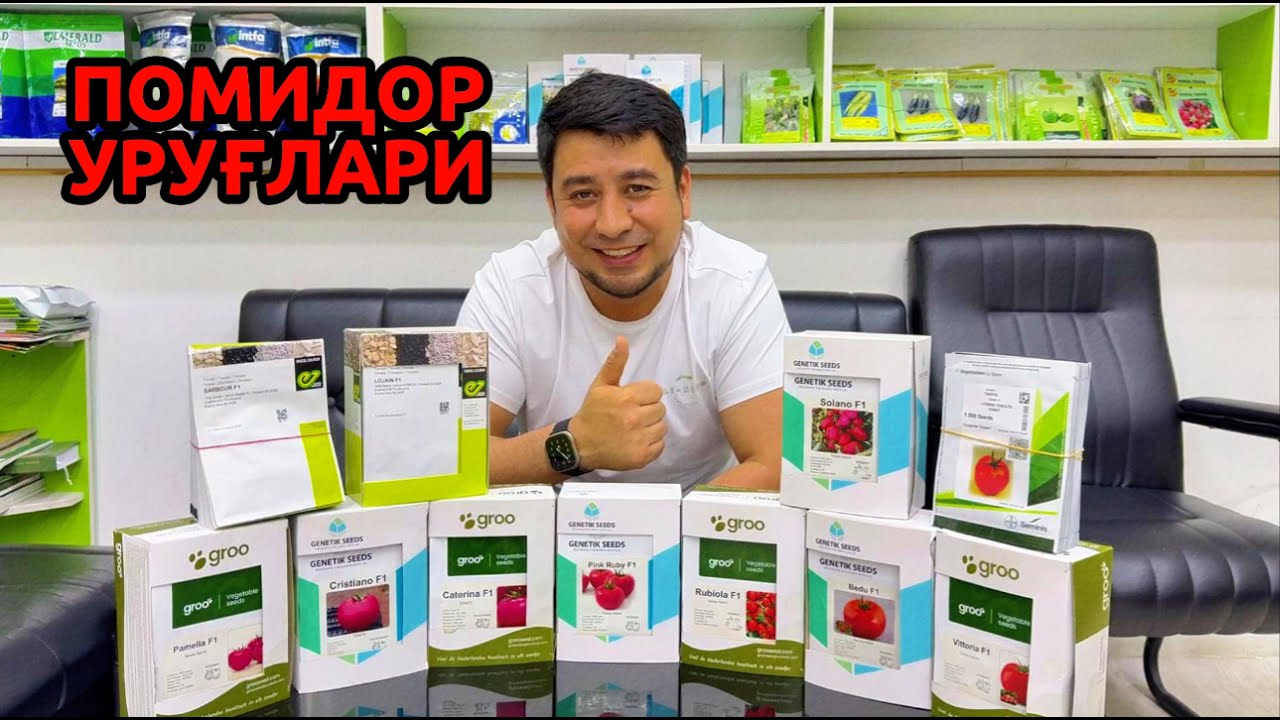 Помидор уруғларимиз билан танишамиз 🍅 +998 99 888-97-77