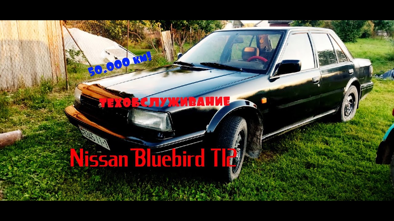 50.000 км остались позади! Техобслуживание Nissan BLUEBIRD T12