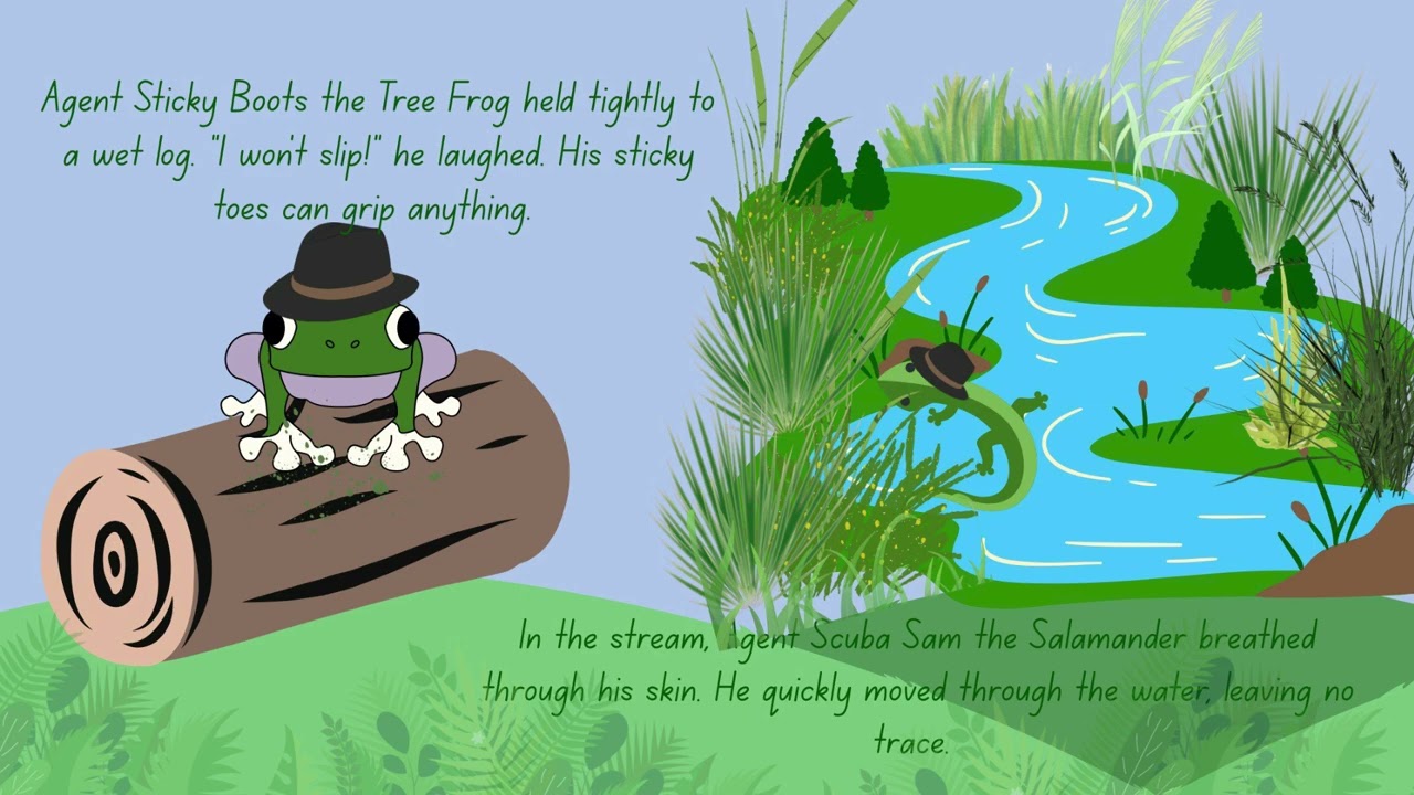 story book apes project