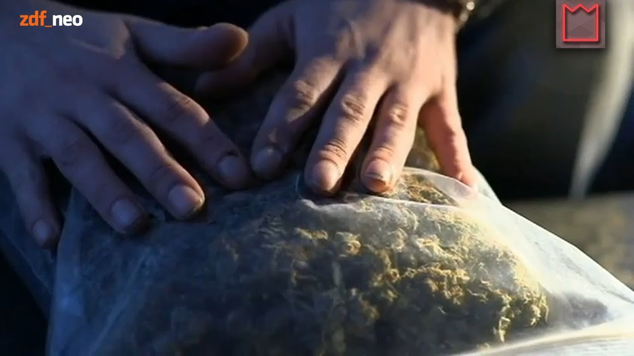 ZDFKultur - RAUSCHGIFT - Cannabis