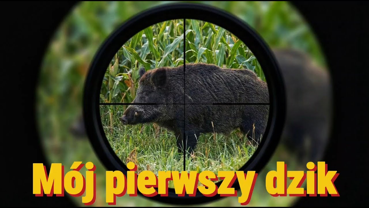 120 kg adrenaliny, której nigdy nie zapomnę. Historia mojego pierwszego strzału