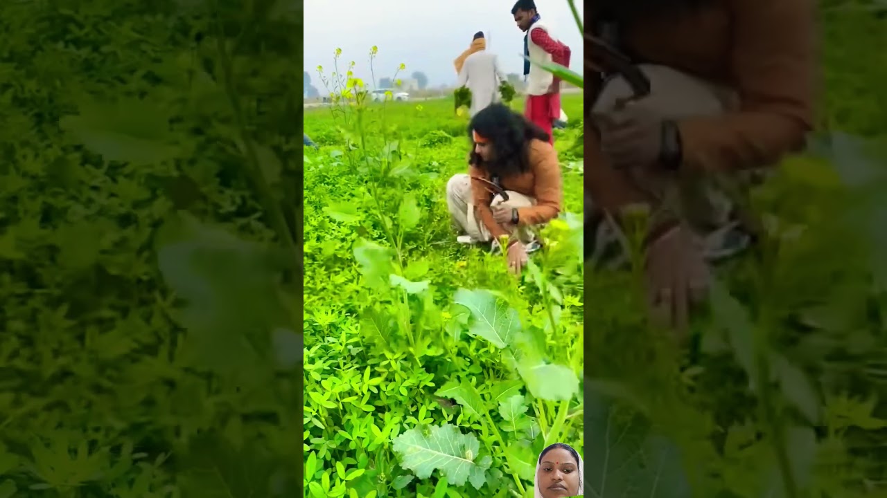#gauseva #gaukatha #villagelife #kisan #gausevatrust #gausevakachamatkar #aniruddhacharyaji