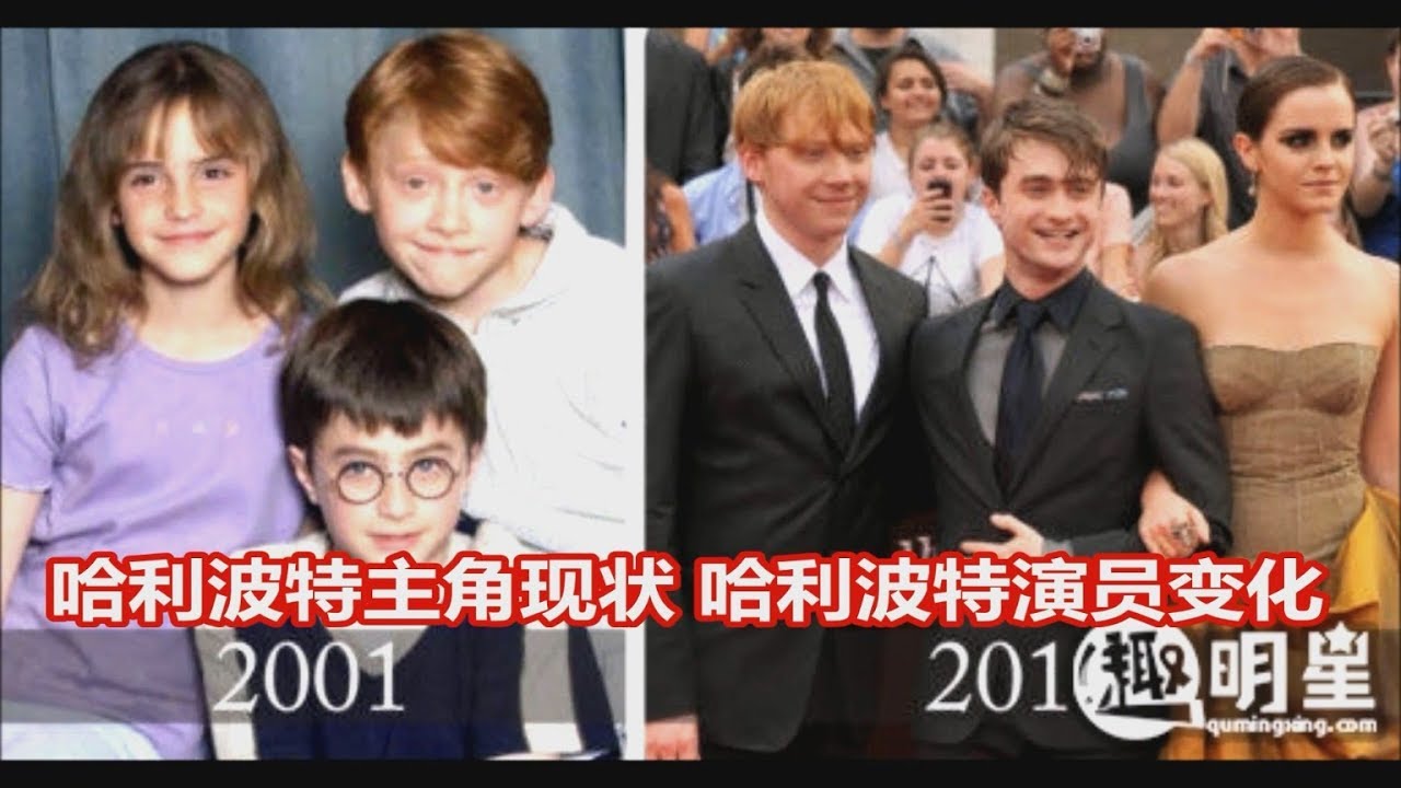 哈利波特主角现状 哈利波特演员变化  有人已离世~终究没逃过岁月这把杀猪刀？【好奇病患者】