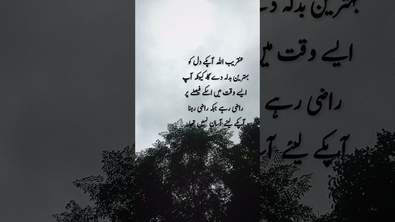 INSHAALLAH #virelshorts #latestqutes #youtubeshorts #latestquoets #qeemtiquotes