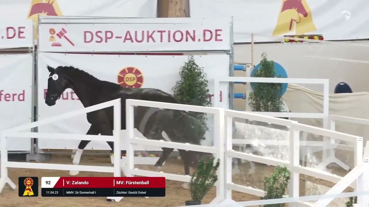 Lot 92 v. Zalando / Fürstenball