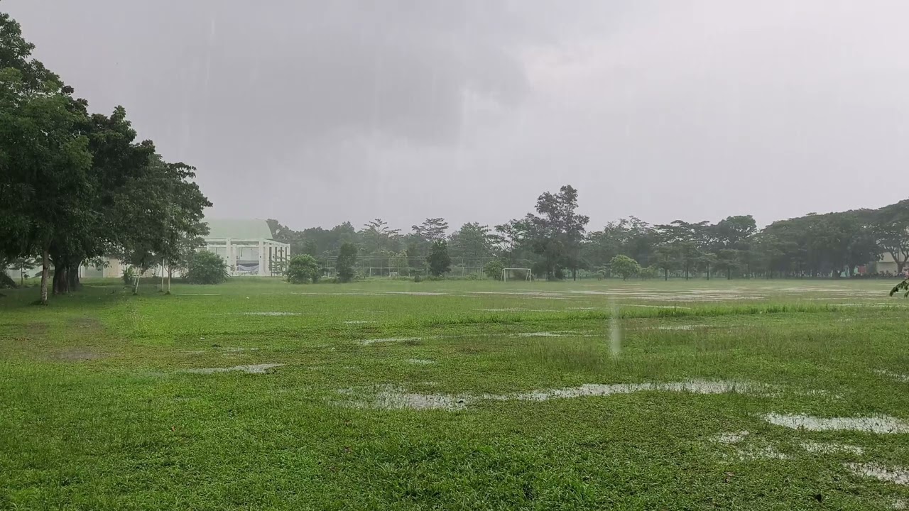 Soothing Rain Sounds for Relaxation, Meditation, and Stress-Free Sleep | Gentle Rainfall Ambience