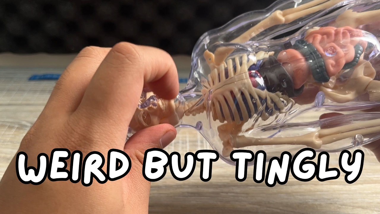 rating asmr triggers but it gets WEIRDER