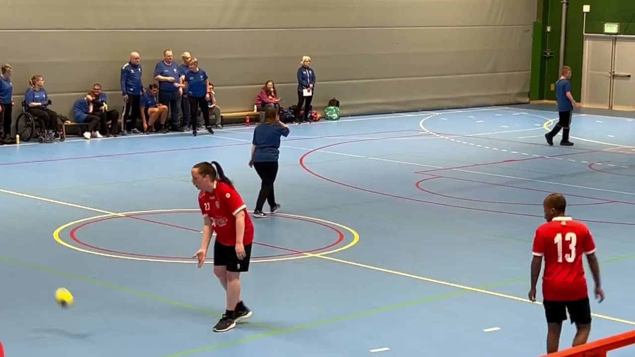 Handbollsstjärnan Tilde ⭐️