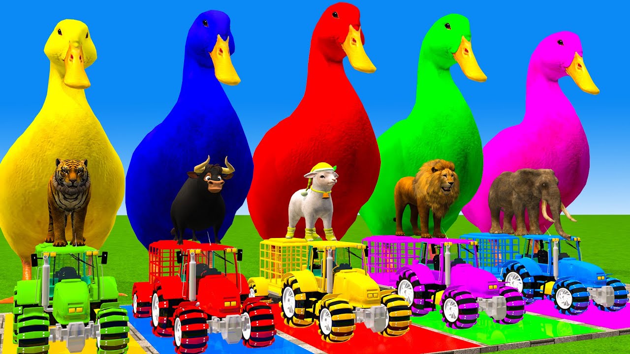 5 Giant Duck Cartoon,Cow,Elephant,Tiger,Lion,Dinosaur,Paint Wild Animals Crossing Fountain Animation