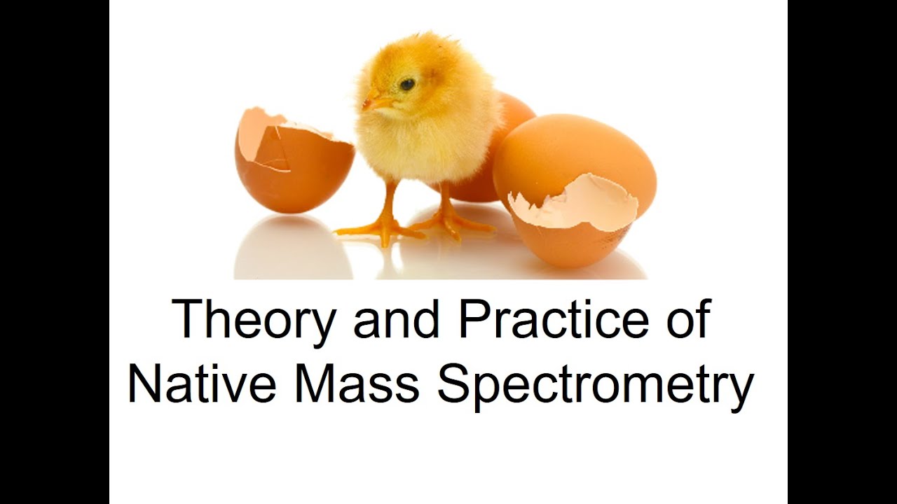6 Theory and Practice of Native Mass Spectrometry