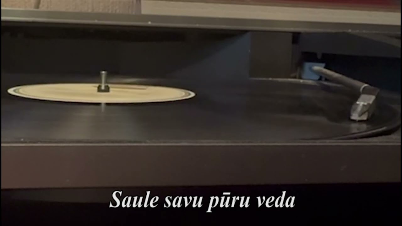 Saule savu pūru veda