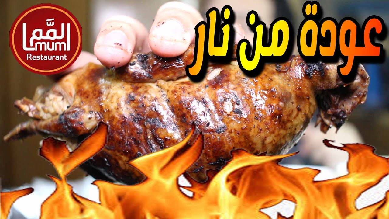 اكلت اكبر وجبة حمام محشى رز خلطة وشوربة لسان عصفور وممبار محشى من مطعم المم