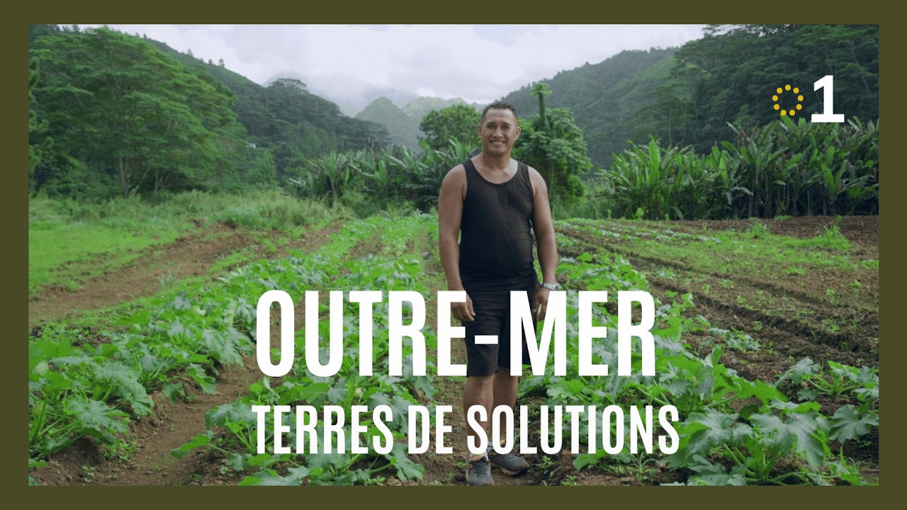 Souveraineté alimentaire : les Outre-mer relèvent le défi  | Outre-mer, terres de solutions 🐟🌍🌱🍅