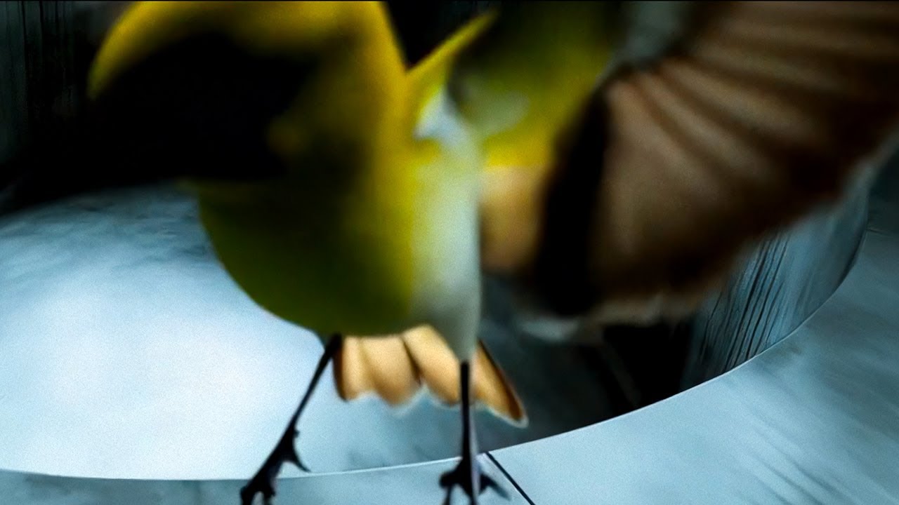 Clara La San - Unplanned (slowed) (Visualizer)