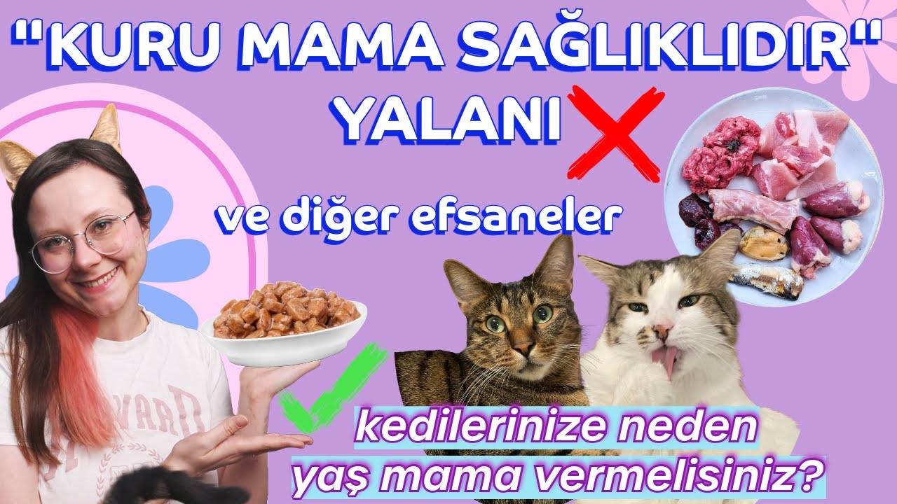 Çiğ Beslenme: Neden Kuru Mamayı Bıraktım? 🐱🐶🍖