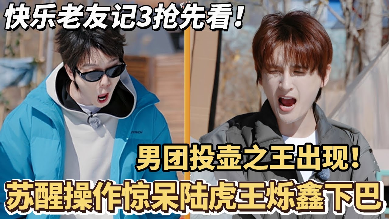 苏醒手气太逆天了！0713男团投壶之王诞生！这操作惊呆陆虎王烁鑫下巴#快乐再出发 #0713 #再就业男团 #搞笑#快乐老友有风季#张远