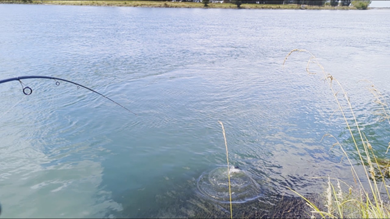 I'd Almost Given Up... Catch and Cook to Fedd the Family
