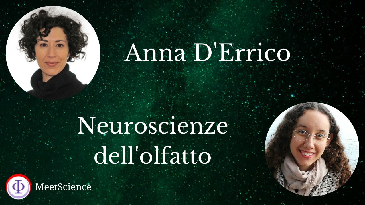 Neuroscienze dell'olfatto 👃 - con Anna D'Errico