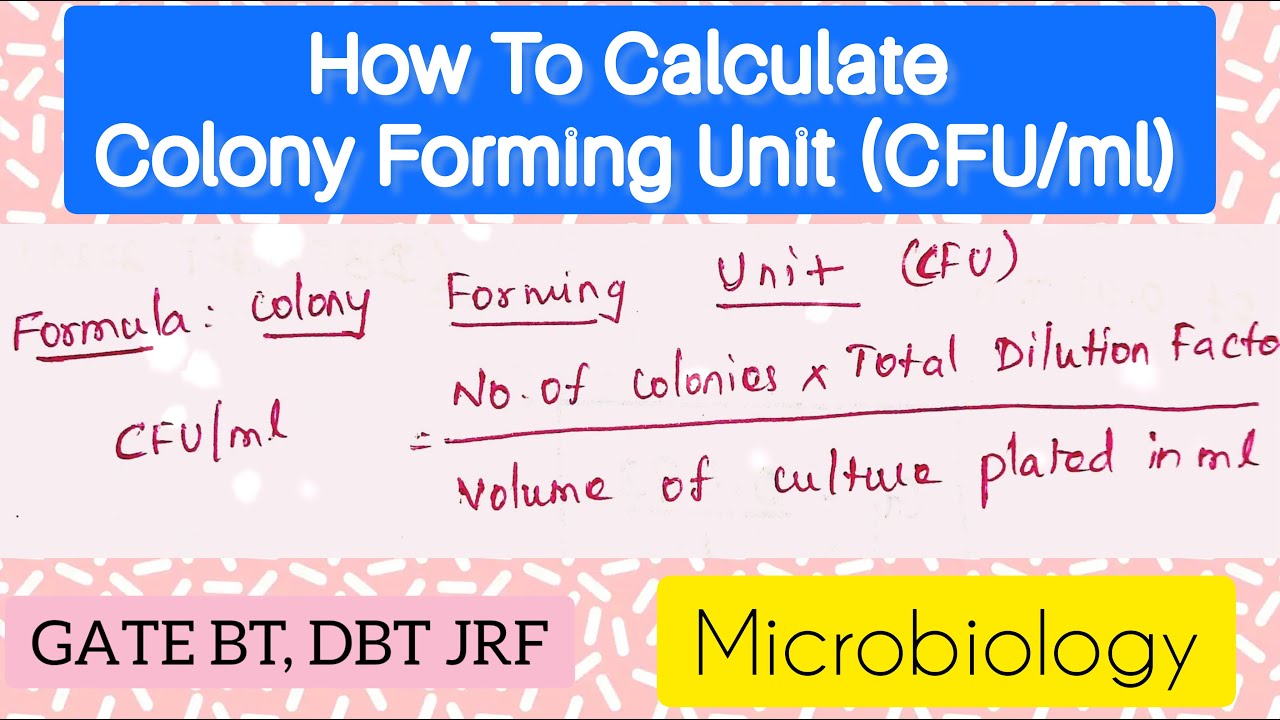 CFU | How to Calculate Colony Forming Units (CFU/ml) | Microbiology @Biotech Notebook