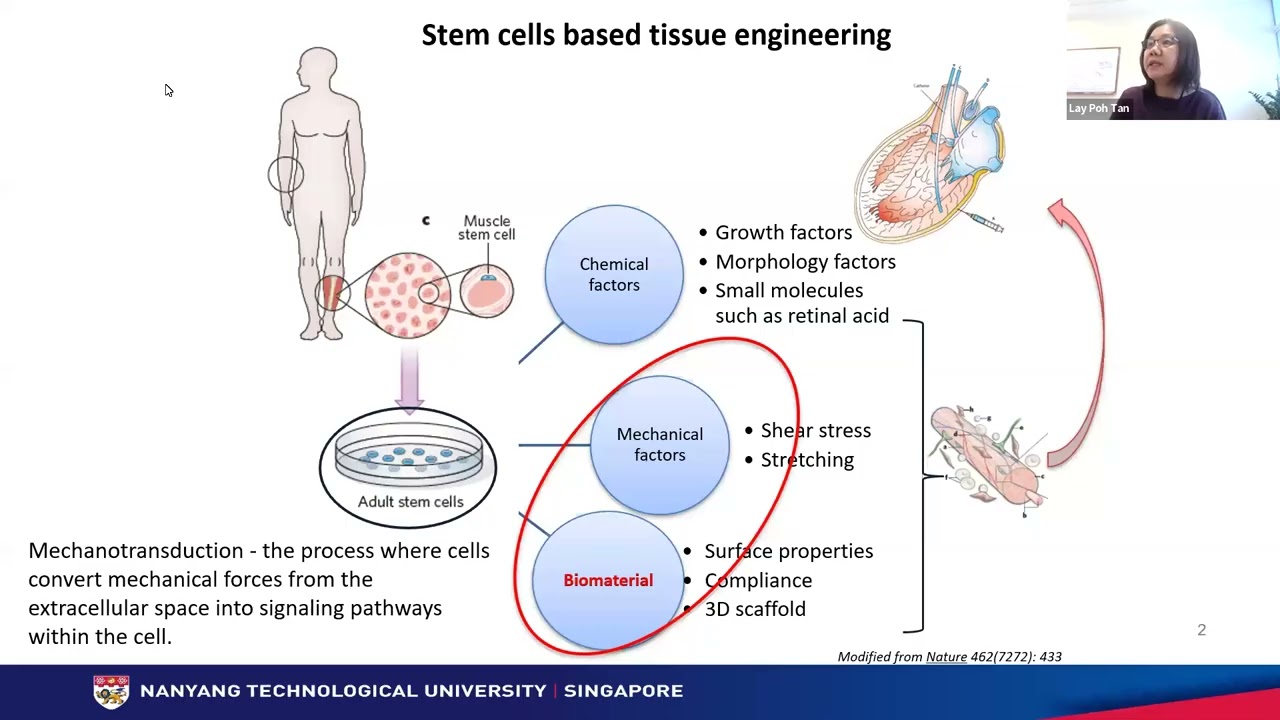 From tissue engineering to cultivated meat: The role of physical env. on cell fate feat. Dr. Tan