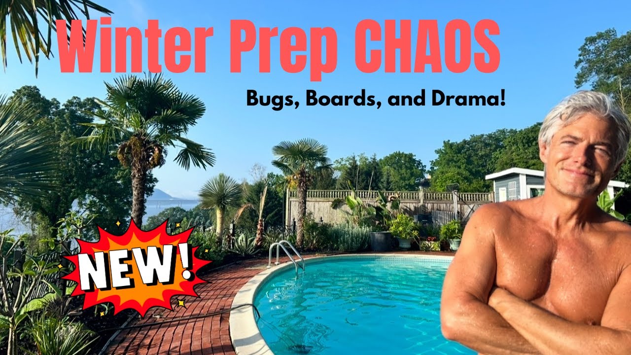 Winter Prep Chaos!  Pulling out the Palm Protection, Mealy Bugs, and more All My Palm Trees