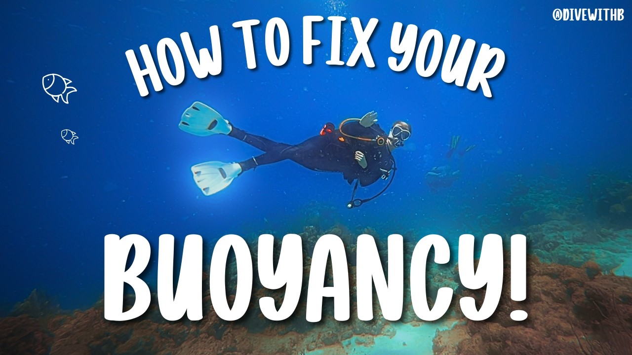 Полное руководство по контролю плавучести (как избежать столкновений с рифом) | DIVEWITHB
