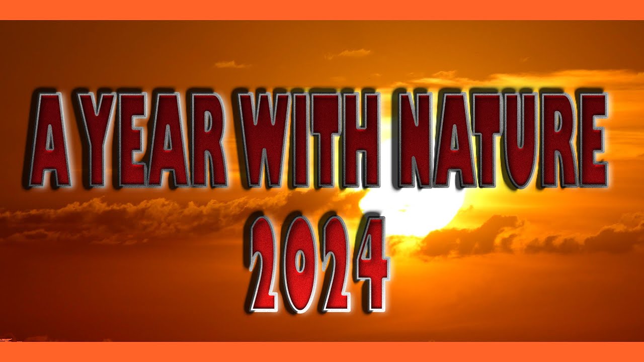 A Year With Nature 2024