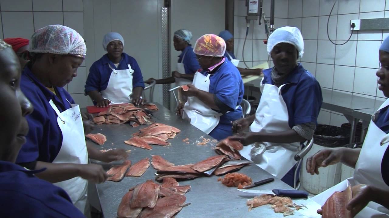 Trout Farming, Mpumalanga.