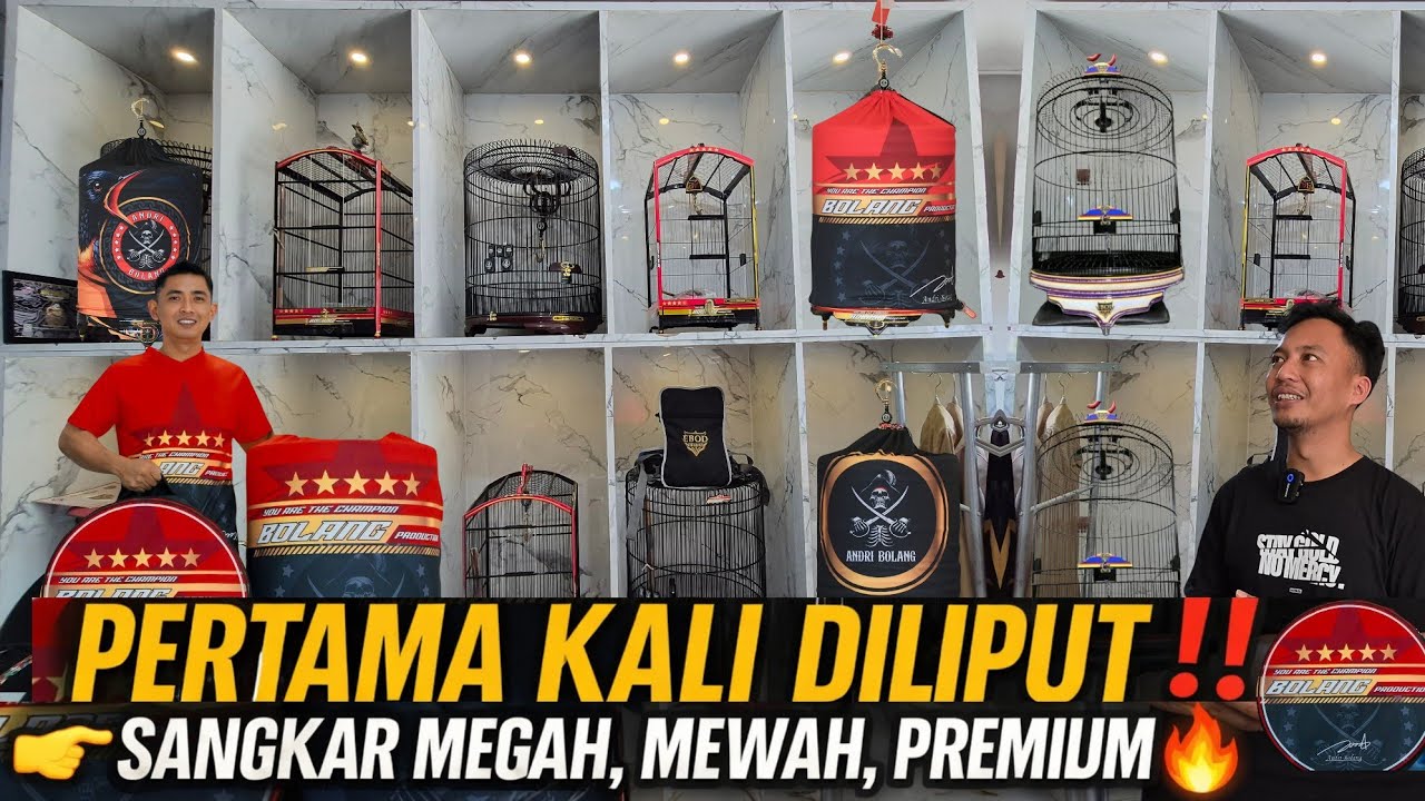 PERTAMA KALI DILIPUT‼️SANGKAR EBOD DELUXE & ANDRI BOLANG DI GALERI KOSIM BIRDFARM PASAR PRAMUKA 🔥