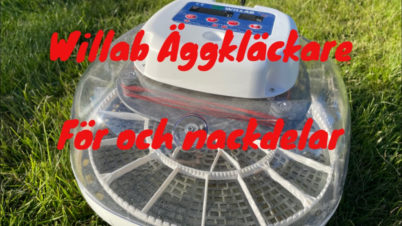 Vi provar Willabs kläckare